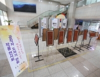기사이미지
